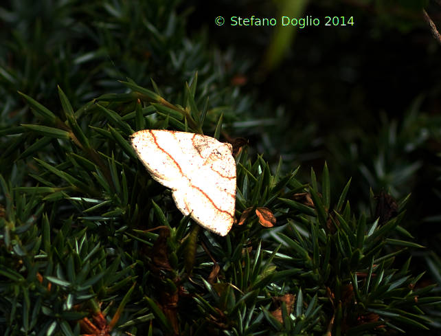 Campo Felice (da determinare)